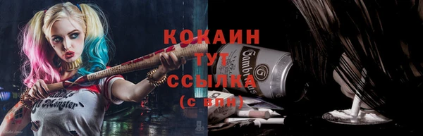 ALPHA-PVP Каменка