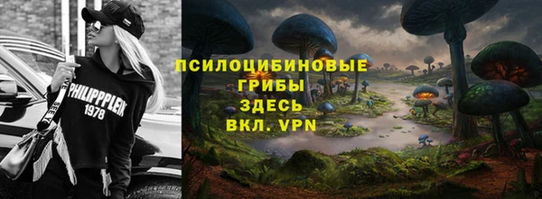 гашик Каменск-Шахтинский